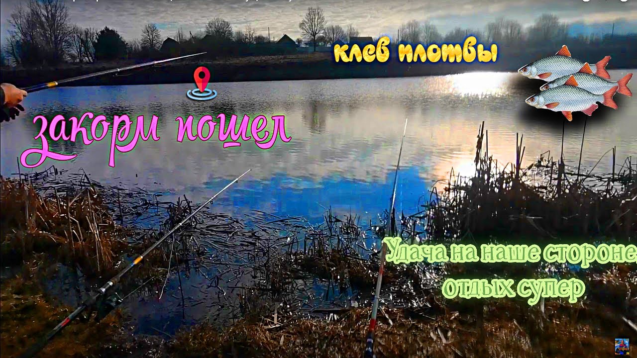Весна 2023. Первая рыбалка плотвы, поклевки и выпущенный улов. #рыбалка2023