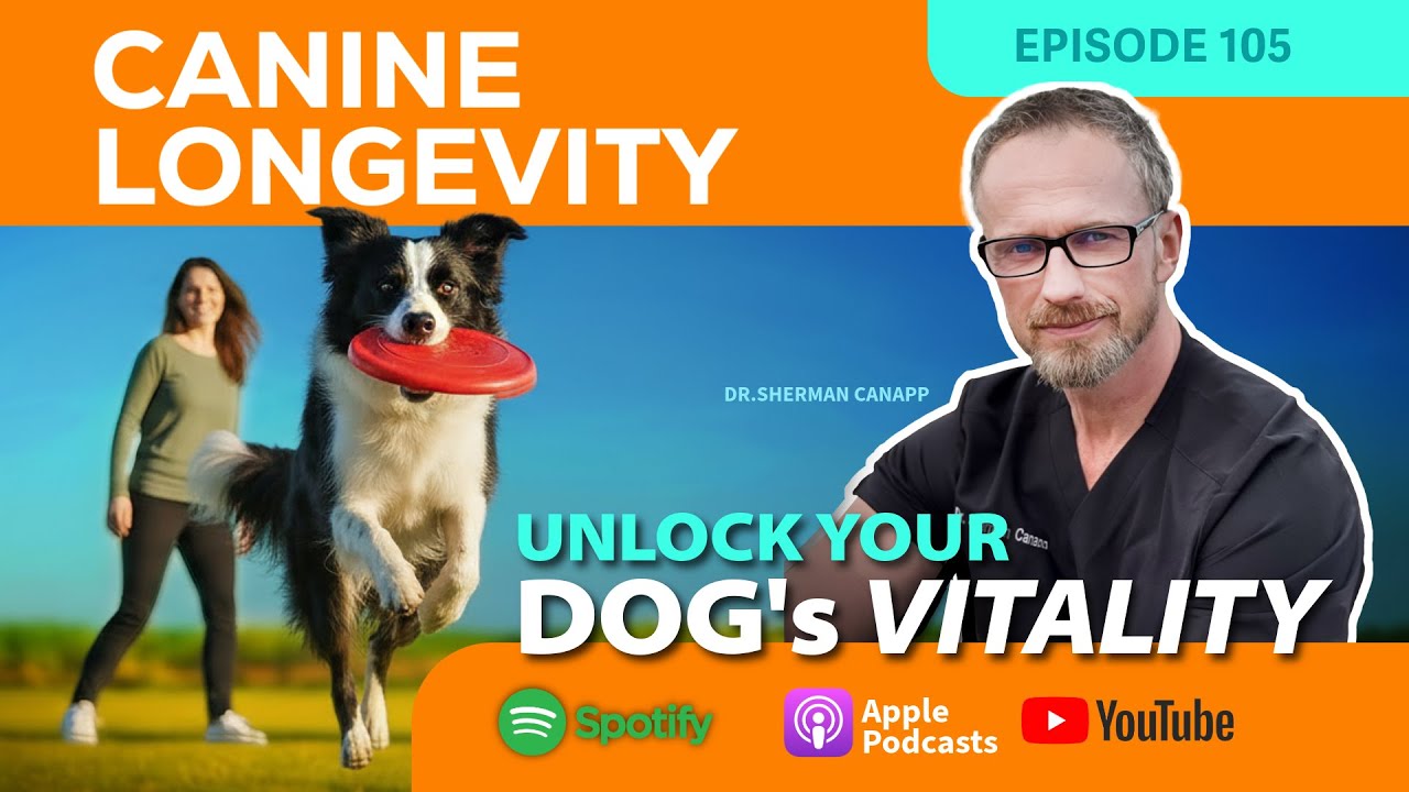 Canine Longevity 105