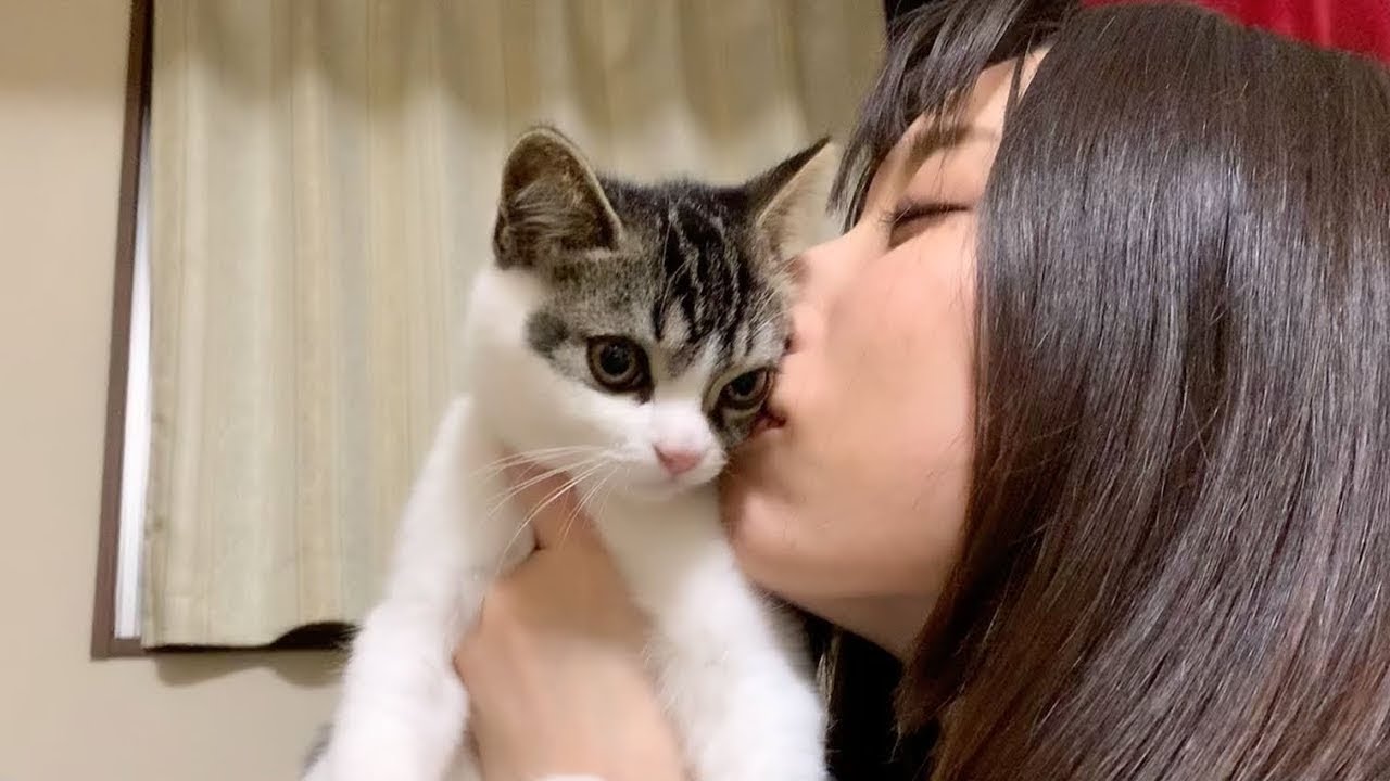 子猫が可愛すぎて猫吸いしちゃったママ