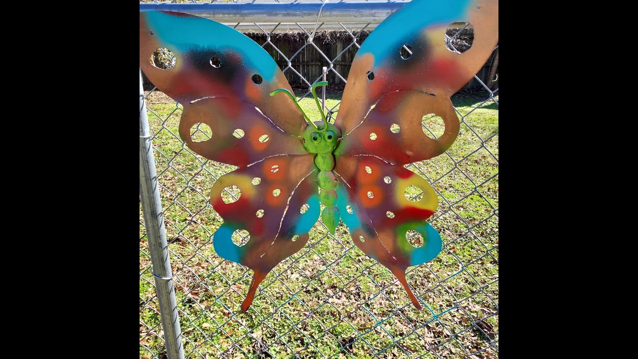 Garden update June 2025