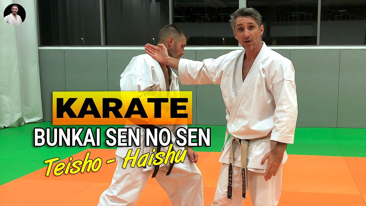 BUNKAI Sen No Sen ? Avec Haishu  et Teisho #karate
