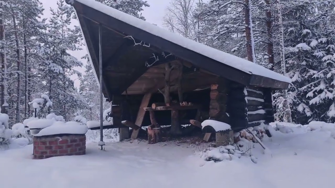 A Cold Day in the Forest – Tree Felling and a Simple Lunch