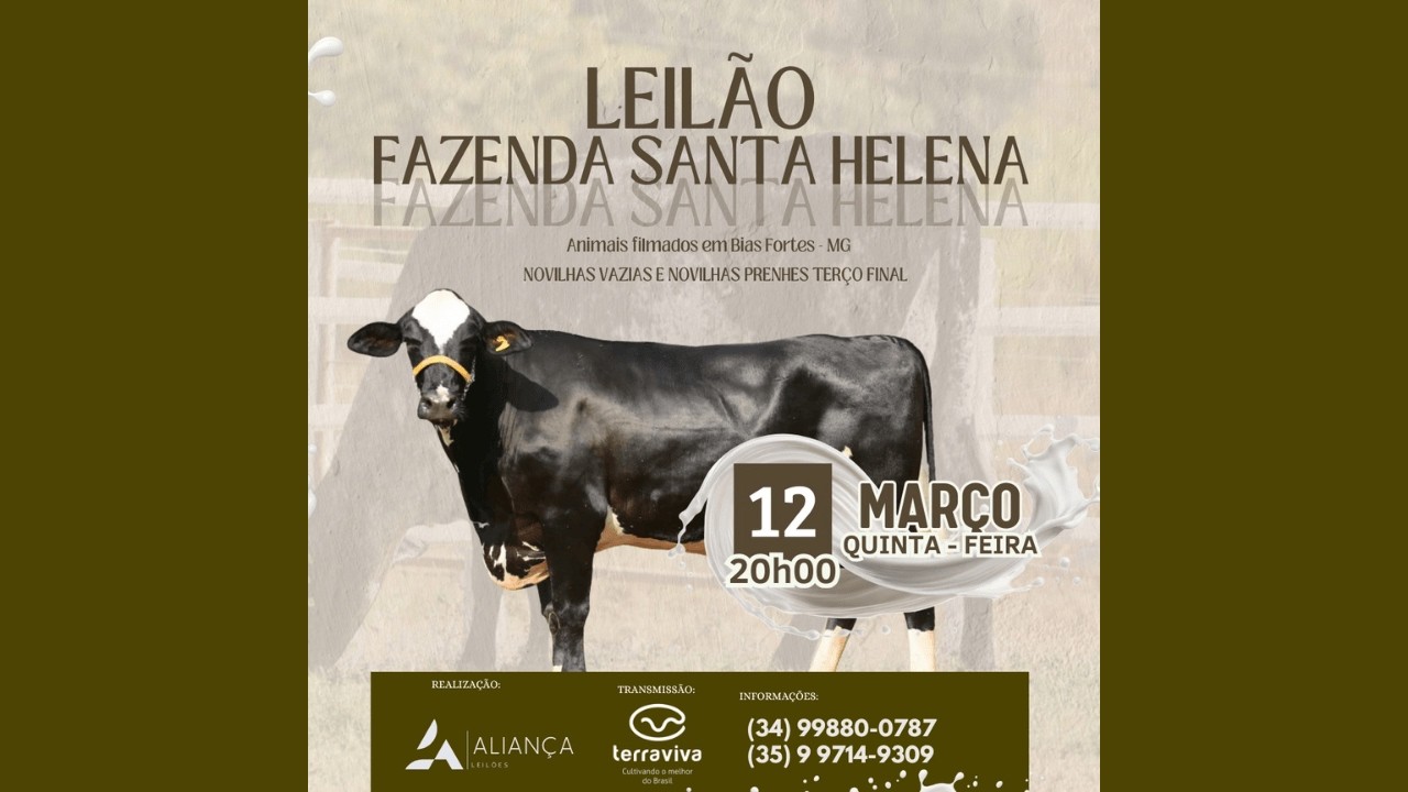 LEILÃO FAZENDA SANTA HELENA | 12/03/2026 – 20H