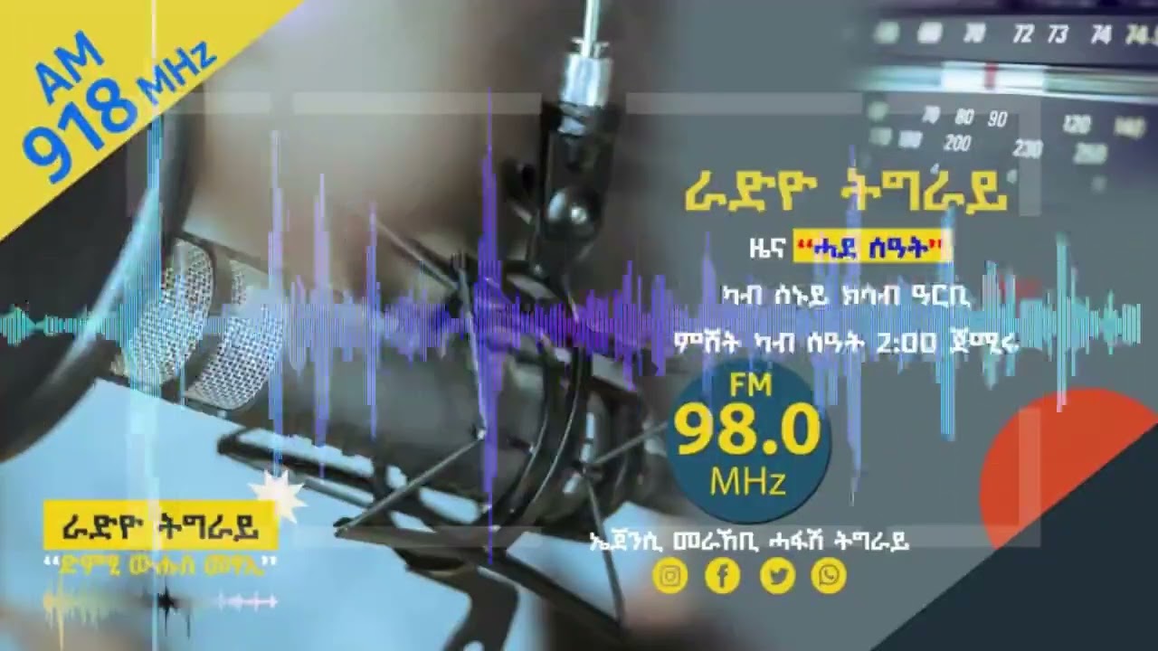Основные моменты программы новостей «Один час» 24 ноября /