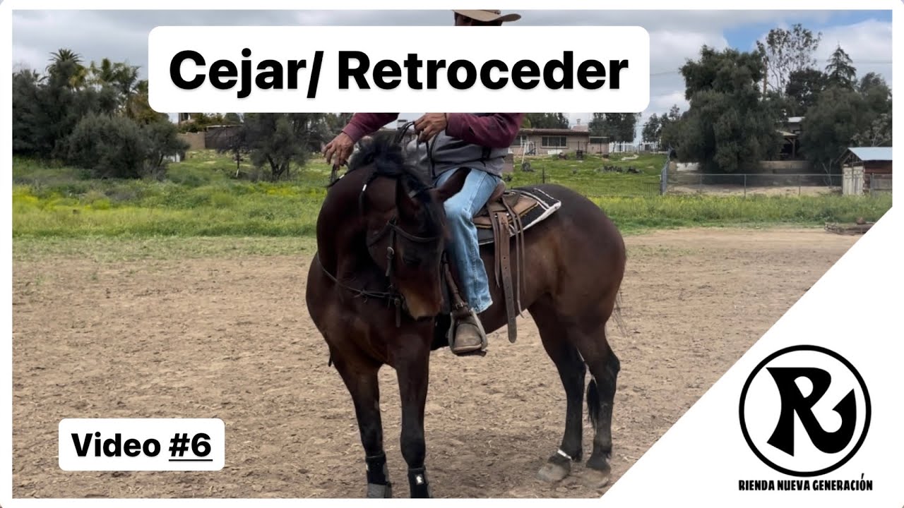 VIDEO #6: Cejar / Retroceder. Sistema Completo Rienda Nueva Generación