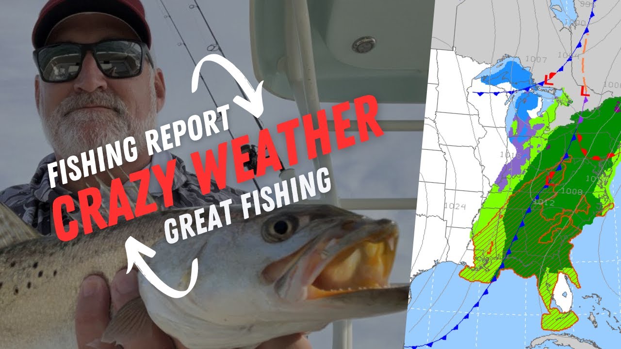 Hubbard's Marina Friday Fishing Report | 12-08-2023