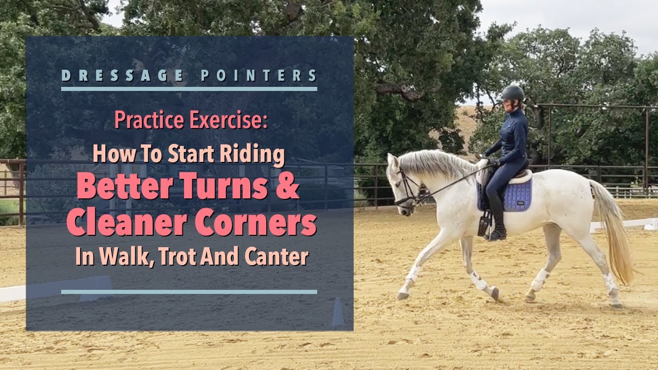 How To Start Riding Better Turns And Cleaner Corners In Walk, Trot And Canter