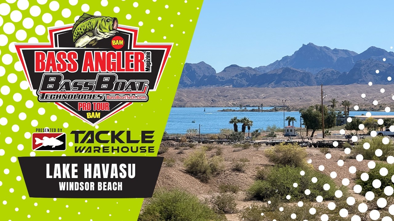 2026 Lake Havasu | BAM Super 60 | Day 3 Weigh In