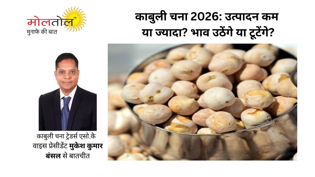 काबुली चना 2026: उत्पादन कम या ज्यादा? भाव उठेंगे या टूटेंगे?