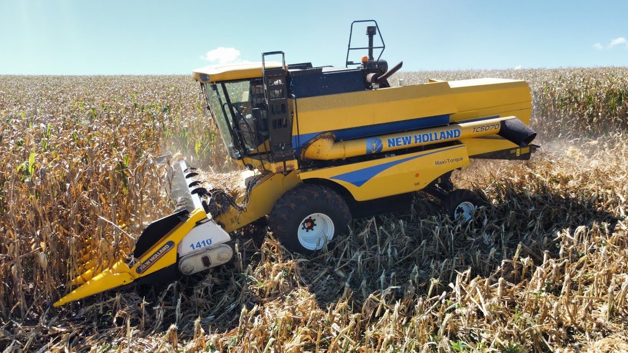 COLHEITA DO MILHO - Agora é pra valer 🚀🌽🙏