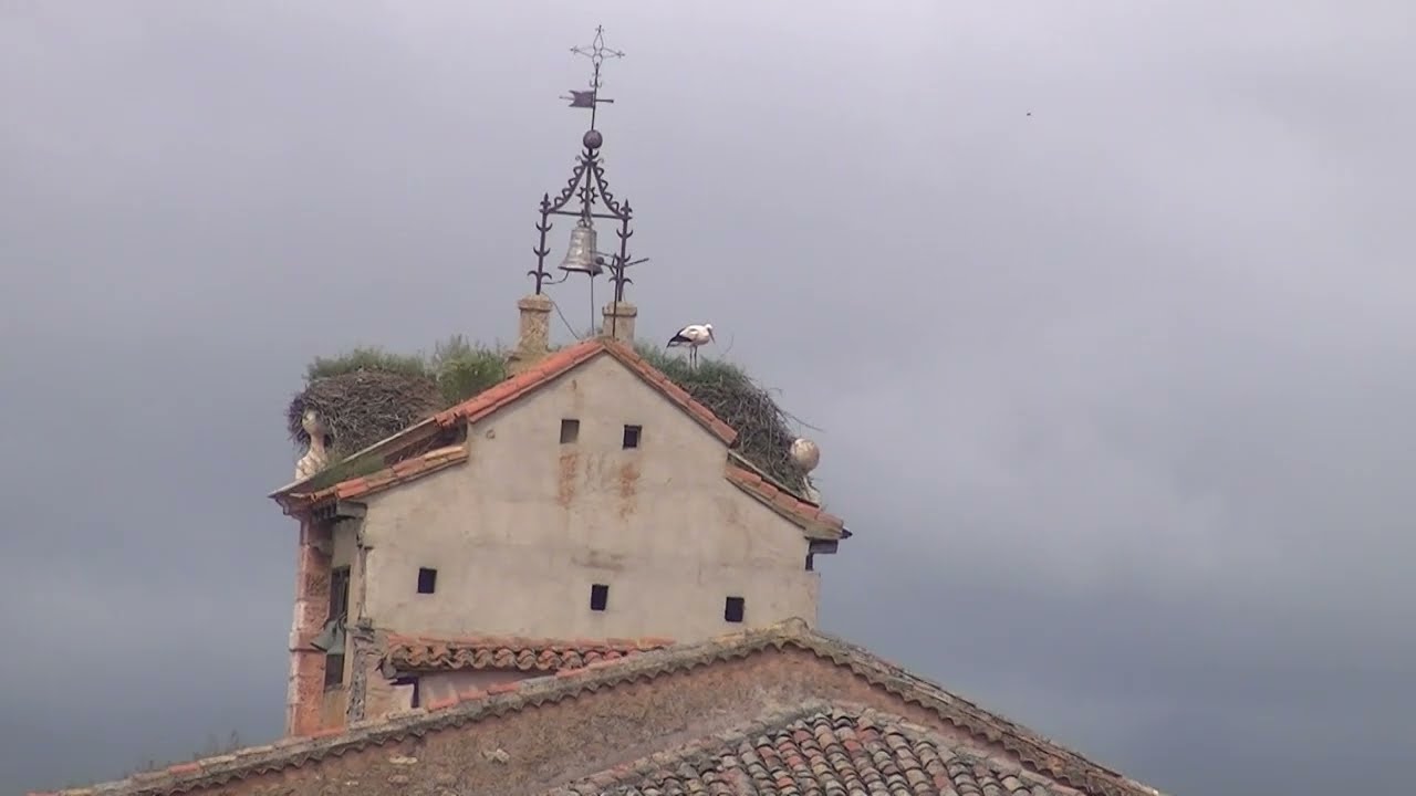 SAN ISIDRO 2025-QUINTANILLA DEL AGUA