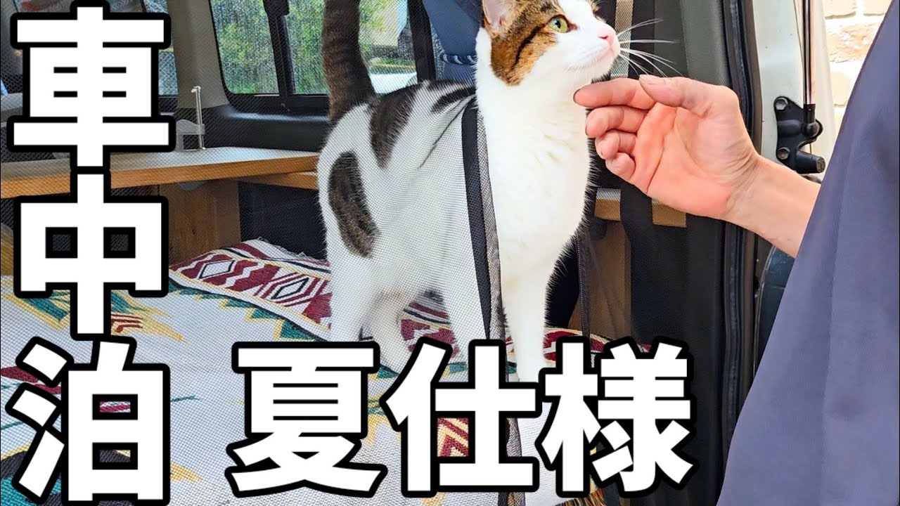 【車中泊】夏仕様…リアゲート網戸を装着✨ロゴスのハイパー氷点下クーラー導入＼うみそら号🚐💨／バージョンアップ