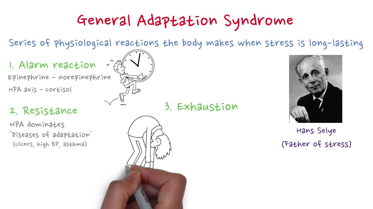 General Adaptation Syndrome (GAS)
