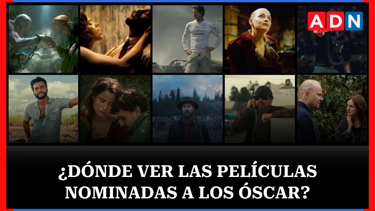 Películas nominadas a los Premios Óscar: ¿Dónde se pueden ver?