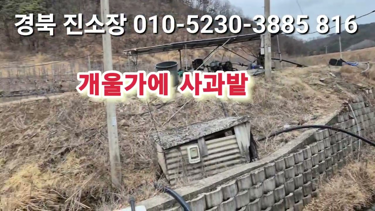 매물 816# 진소장 부동산 #의성부동산 #군위부동산 #안동부동산 #의성 땅 매매 #군위 땅 매매 #과수원 매매 #촌집 매매 #임야 매매 