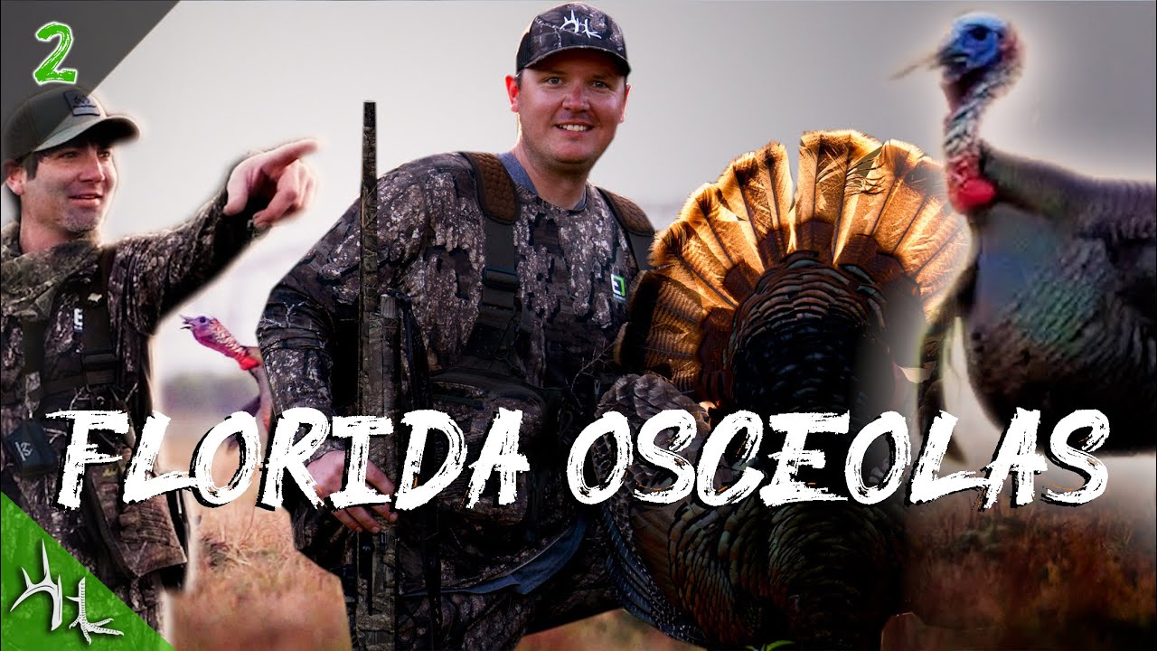 HUNT GIVE-A-WAY     TURKEY AT 7 STEPS  |  WHERE IT STARTED |  Hunt Club