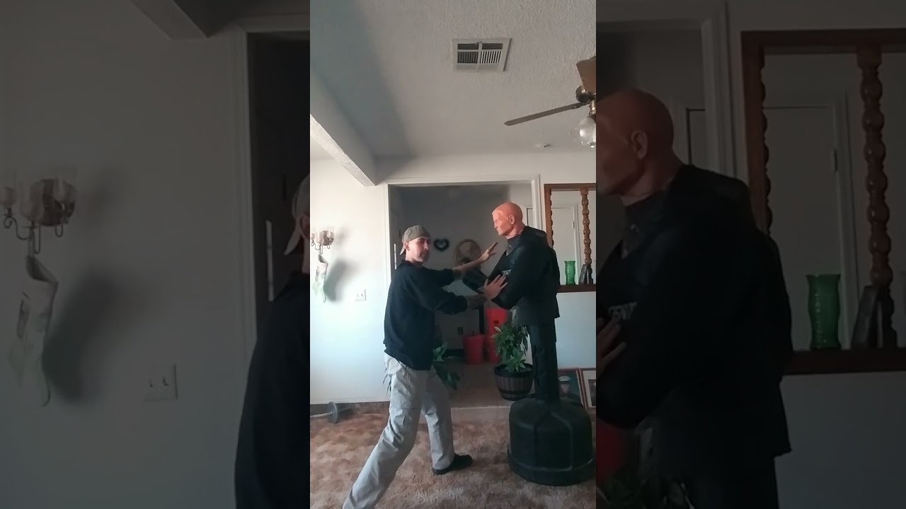 Jeet Kune Do Trapping Lesson:Advanced Level