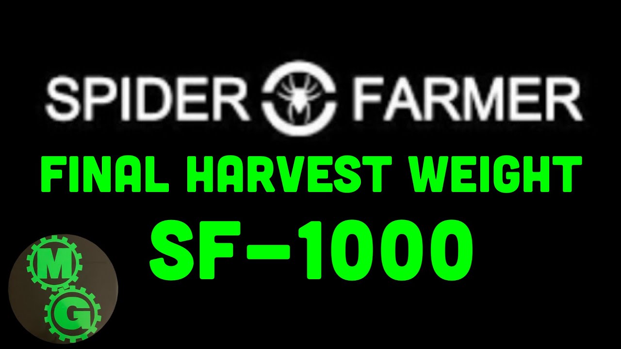 Final Harvest Weight - Spider Farmer LED Grow Light