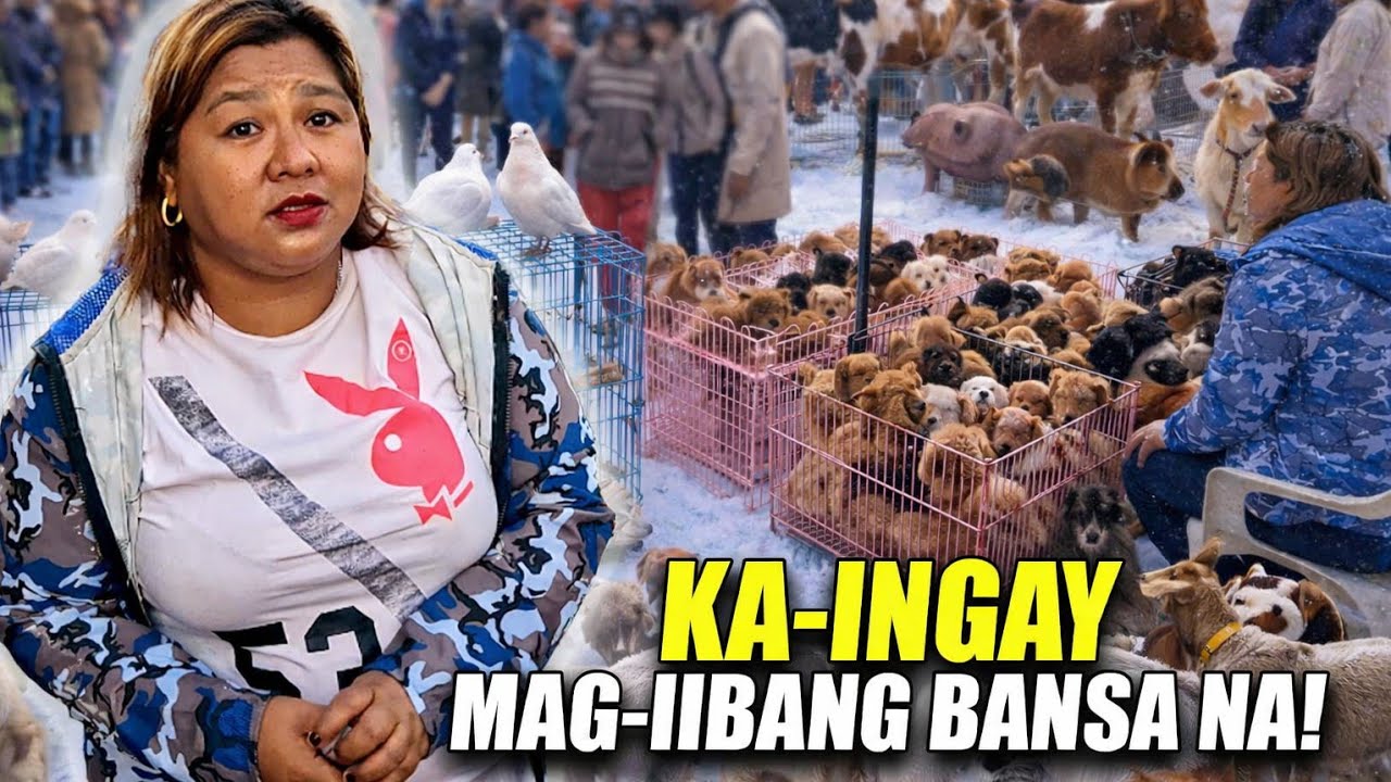 BOCAUE PET MARKET UPDATE / March 20, 2026