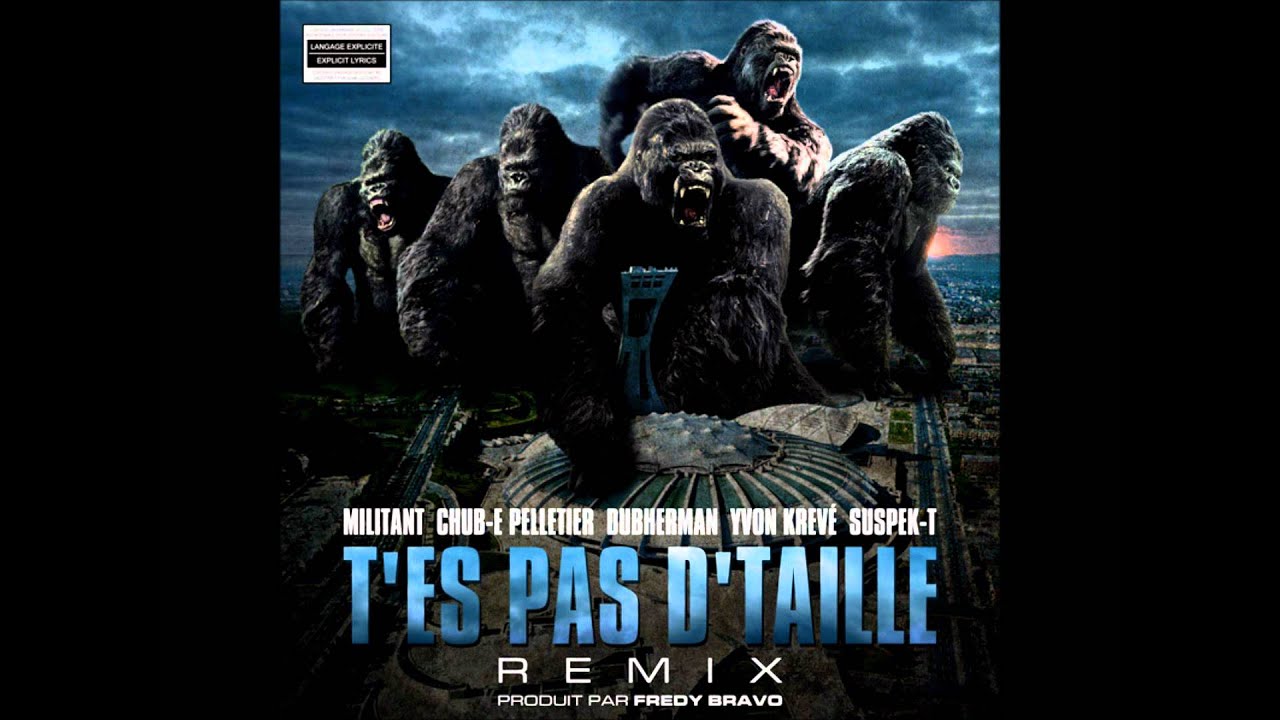 Militant, Chub-e Pelletier, Dubherman, Yvon Krevé & Suspek-t - T'es pas d'taille (REMIX)