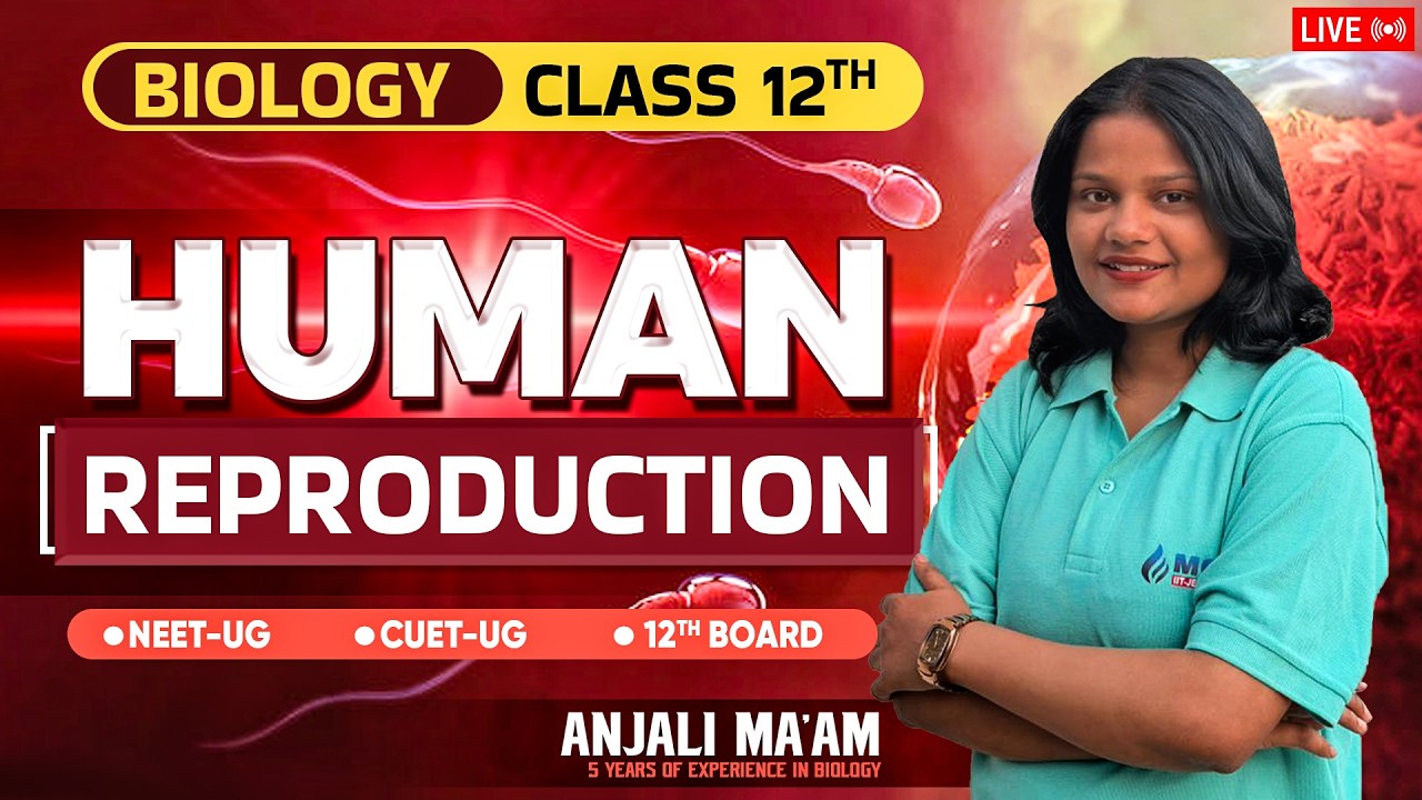 Human Reproduction BIOLOGY CLASS 12 | NEET 2027 BIOLOGY CHAPTER 2 | NEET 2027 COMPLETE NCERT BASED