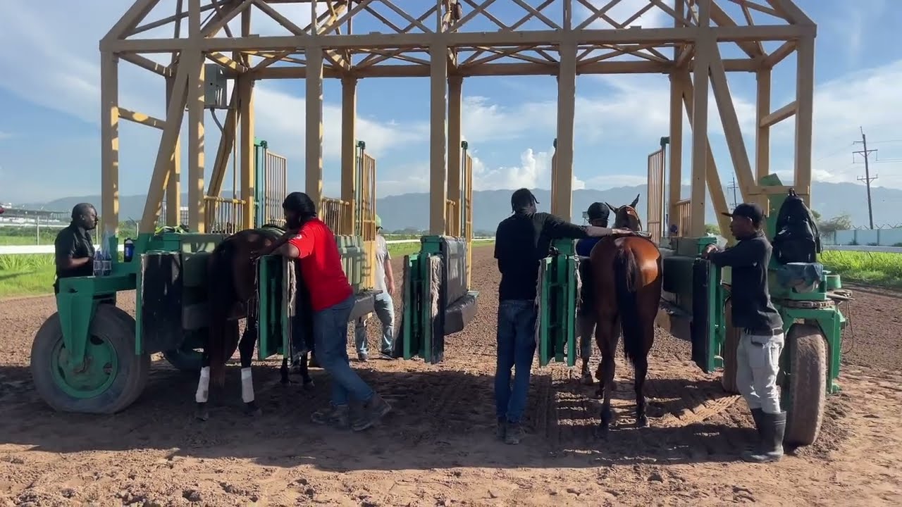 ￼Jockey (ROBERT HALLEDEEN) Share some wise Advice for me MORNING WORK OUT CAYMANAS TRACK 18/07/24