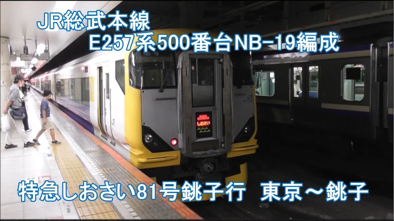 【新・列車前面展望124】JR総武本線 E257系500番台NB-19編成 特急しおさい81号銚子行 東京～銚子