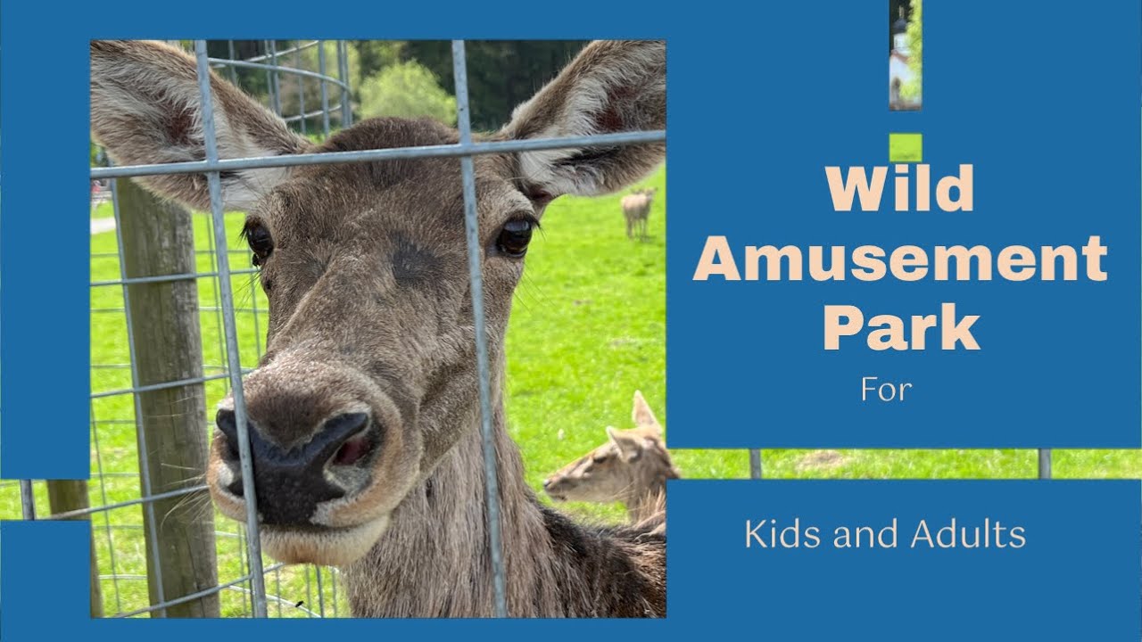 Wild Amusement Park | Wildfreizeitpark Oberreith | Amazing for Kids | Whole Day Amusement for Kids |
