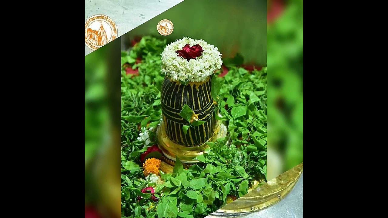 Kashi Vishwanath Darshan 🙏