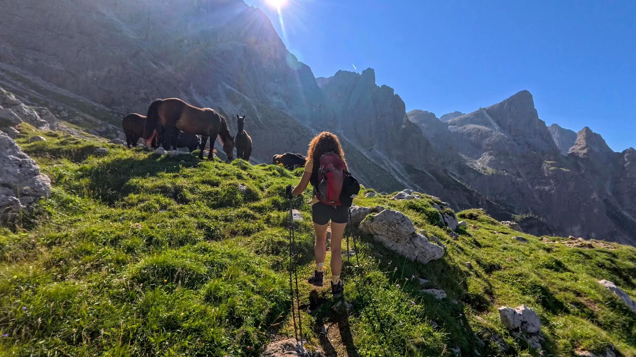 Cima Rosetta - Pale di San Martino