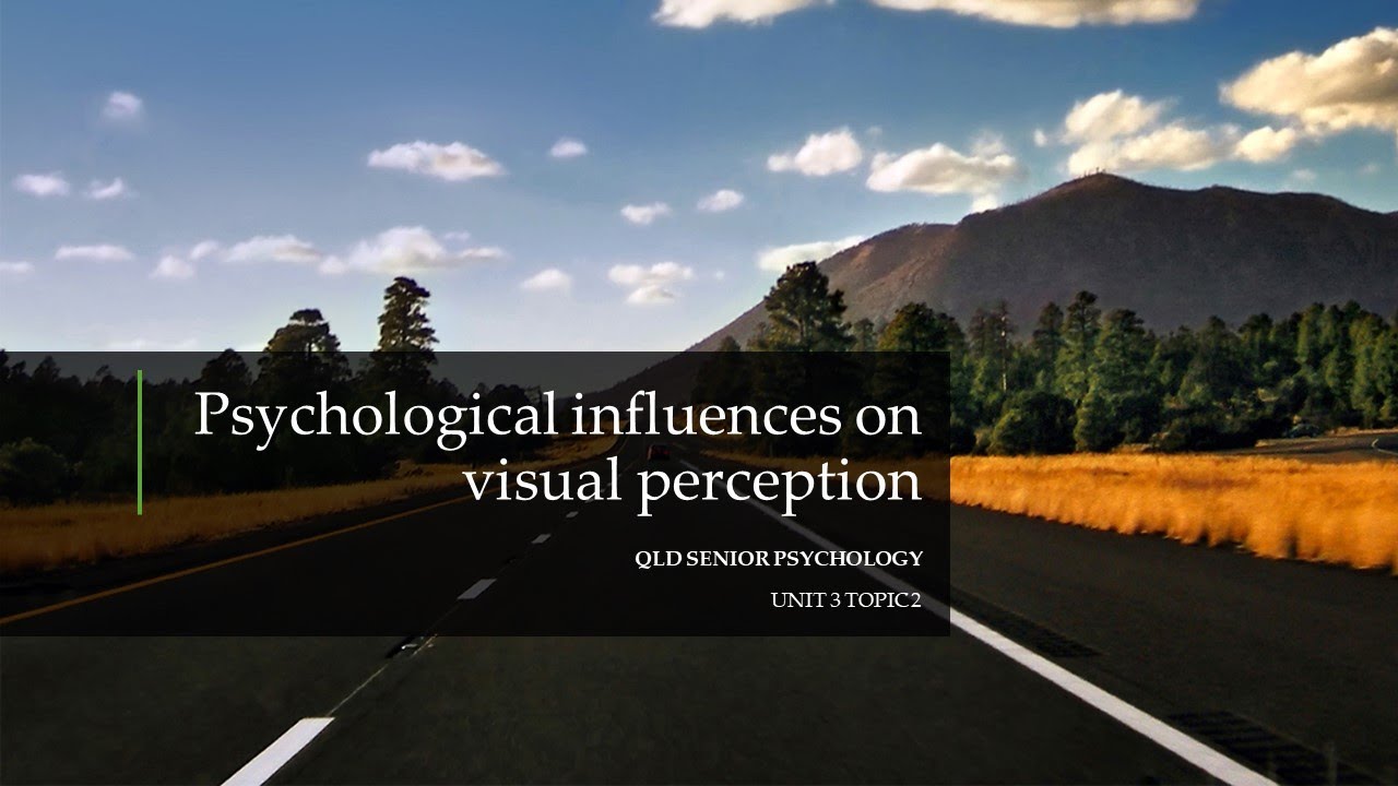 Psychological Influences On Visual Perception