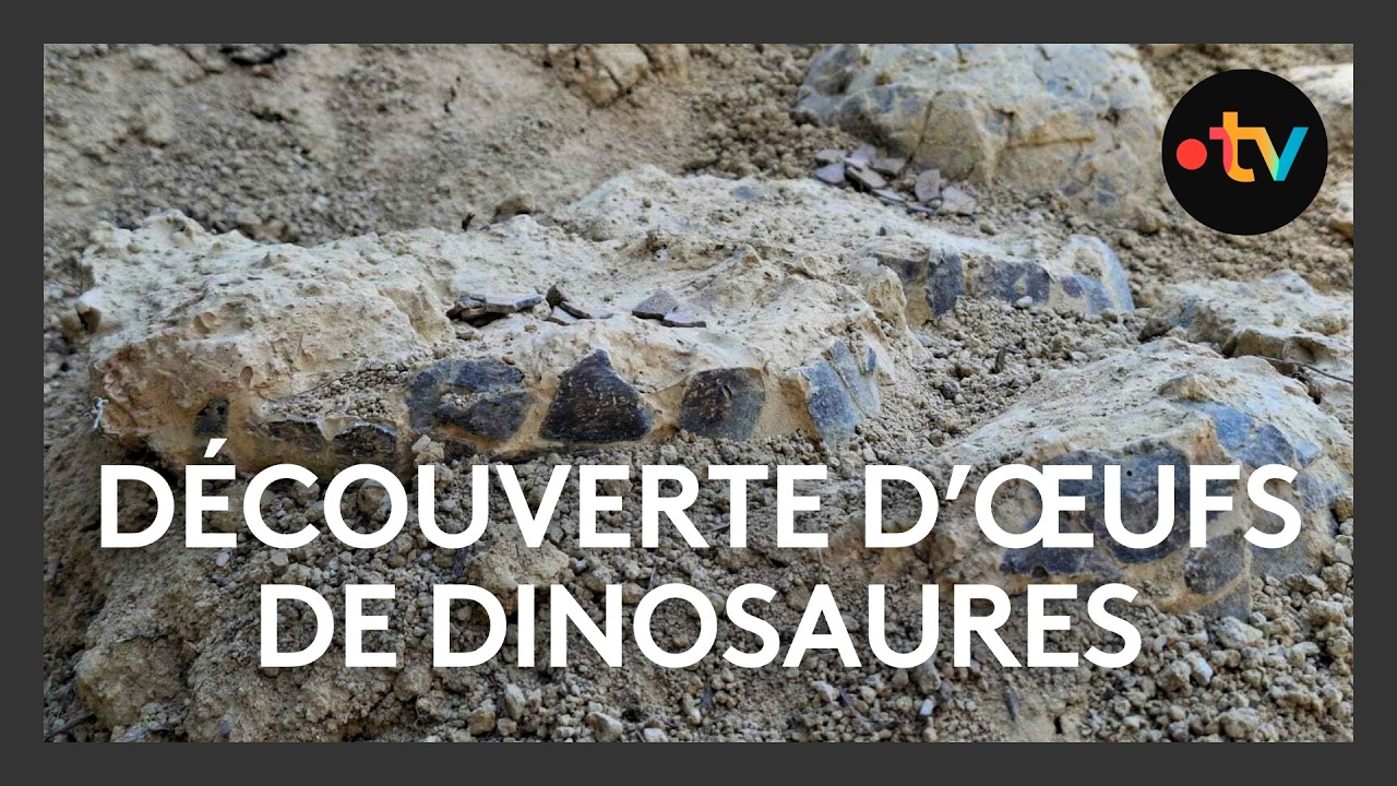 Incroyable d&eacute;couverte d'&oelig;ufs de dinosaures dans l'H&eacute;rault