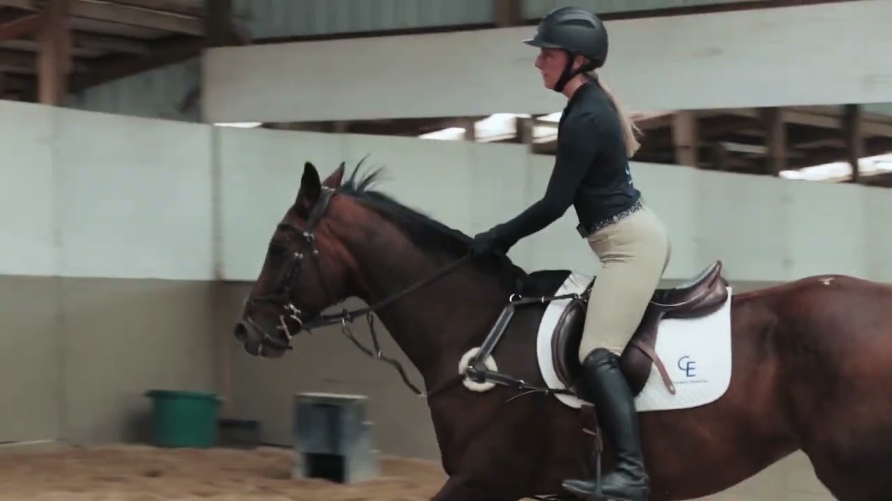Rider's Canter Position: Tips and Techniques for Improving Balance, Control, and Effectiveness