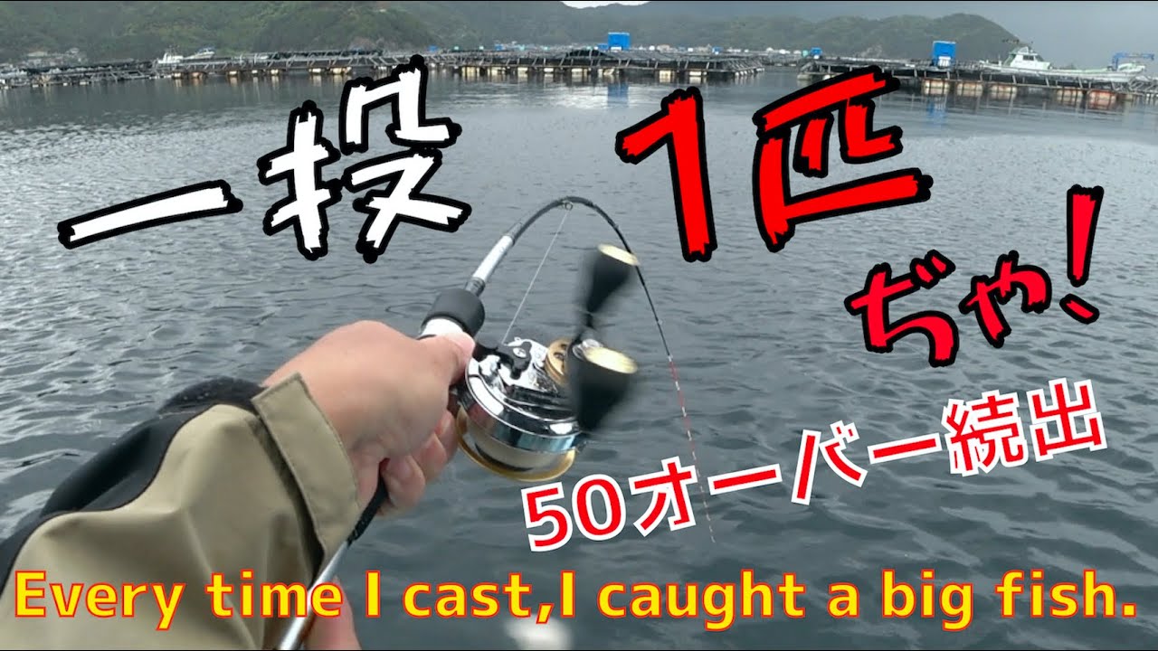 【ダンゴ釣り】爆釣！由良ポテンシャル返ってきた！１投1匹激釣れるが雷怖くて退散しちまったぜ（笑）
