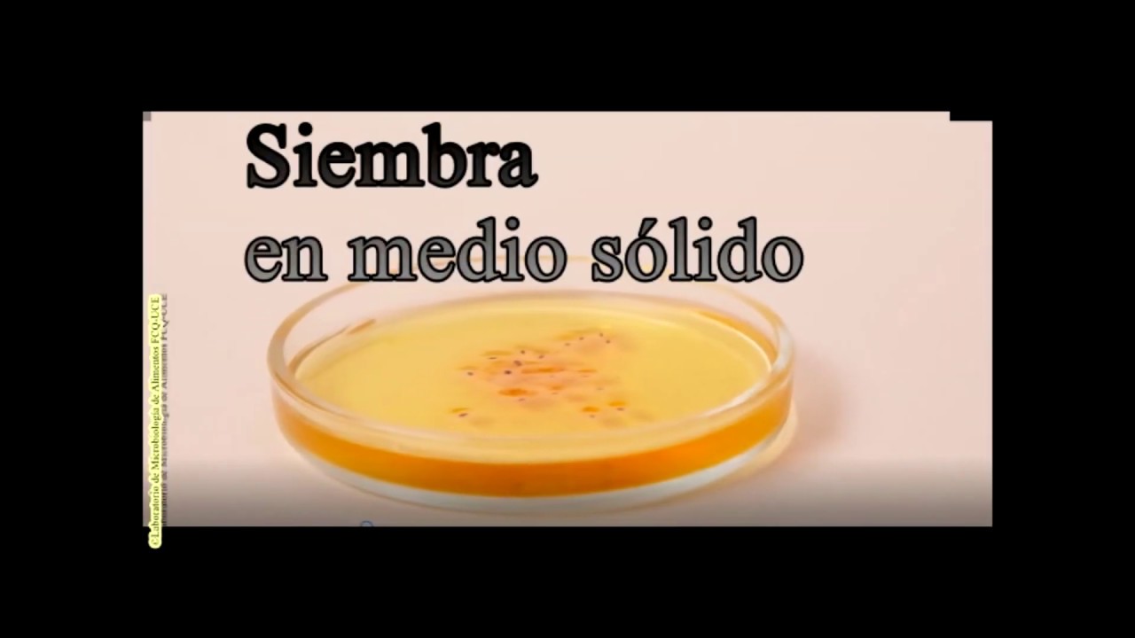 Método de identificación y siembra de Clostridium perfringens en Alimentos
