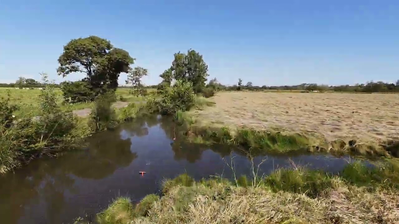 Sortie Maraichine  (4k 60Fps  Audio;5.1 IA)   DJI  AVATA 2.0