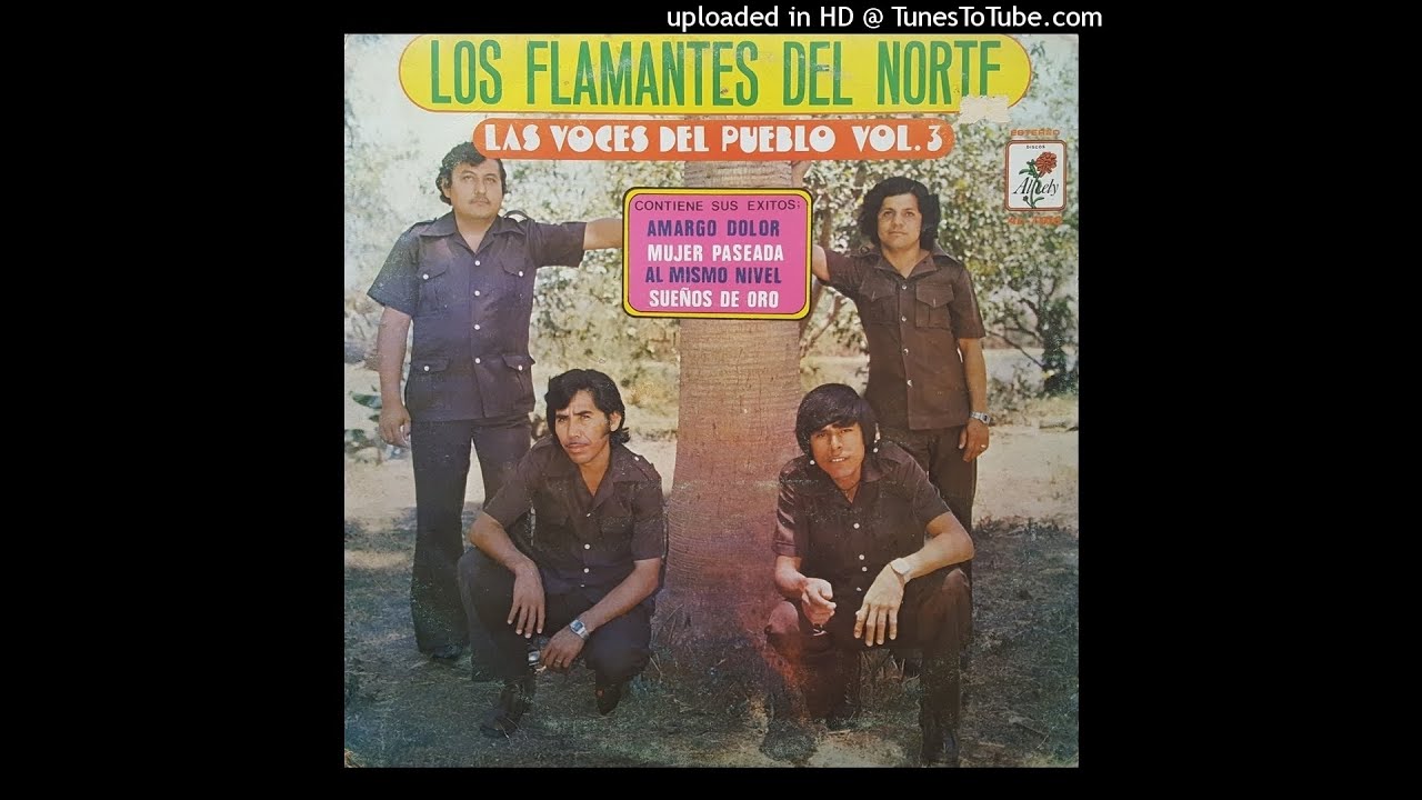 Los Flamantes Del Norte - Al Mismo Nivel (Disco Completo)