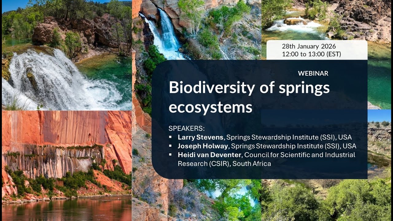 Freshwater BON Webinar Series: Biodiversity of Springs Ecosystems (28 January 2026)