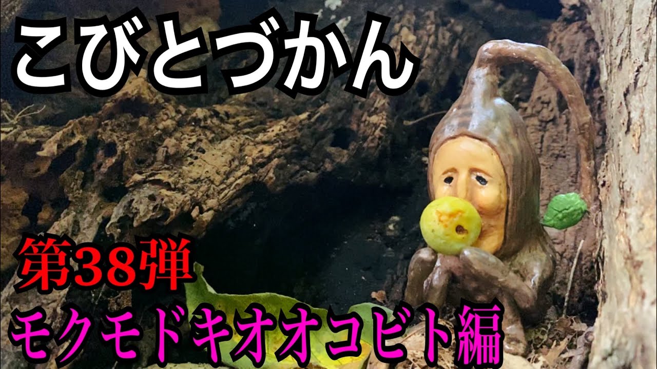 【こびとづかん】モクモドキオオコビト見つけるまで帰れま10！！！