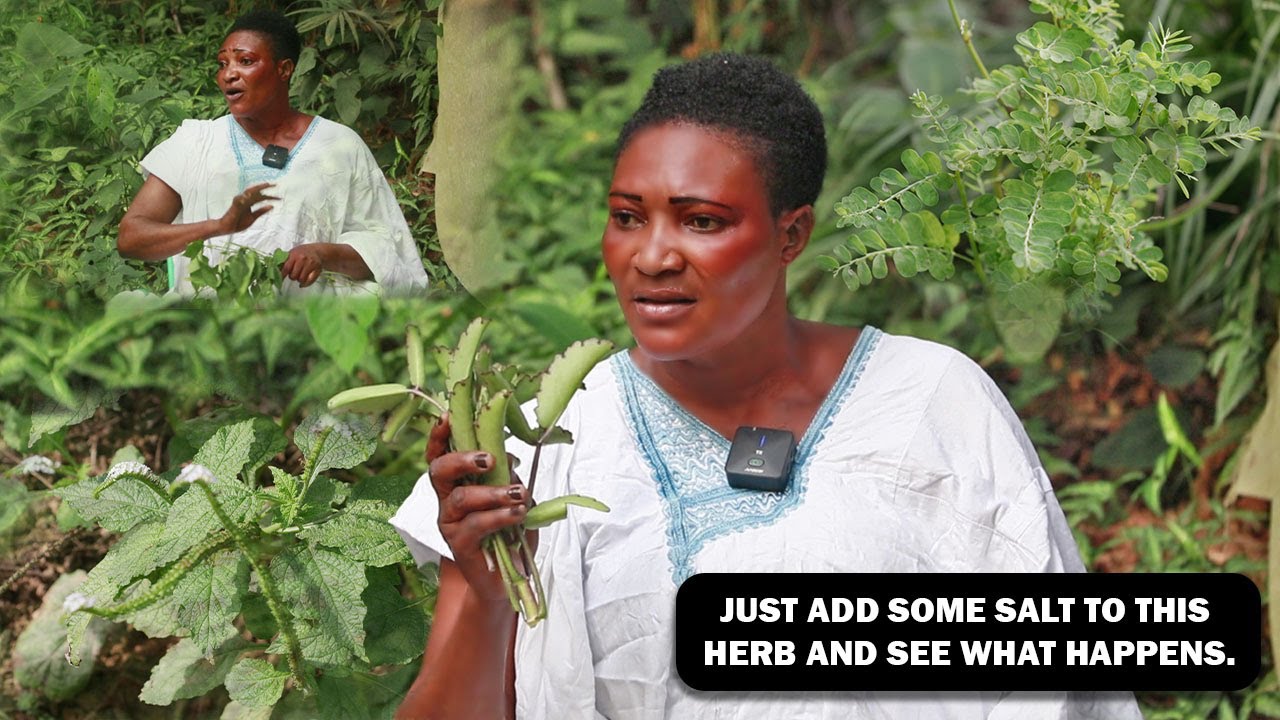 Powerful Herbs Teachings: Just Add Some Salt Tameawu And See What Happens.