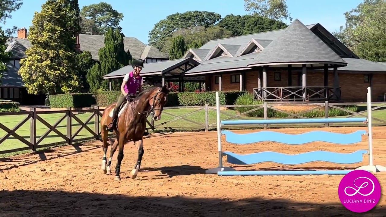 A great and simple exercise for any rider