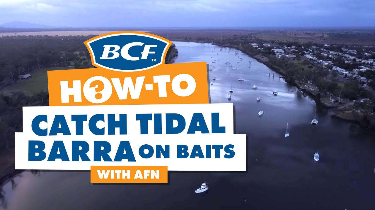 Catch Tidal Barra (Barramundi) on Baits with AFN - BCF How To