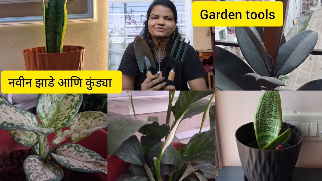 नवीन झाडे, कुंड्या आणि काही गार्डन टूल #vlog #dailyvlog  @shitalsrangoli452 