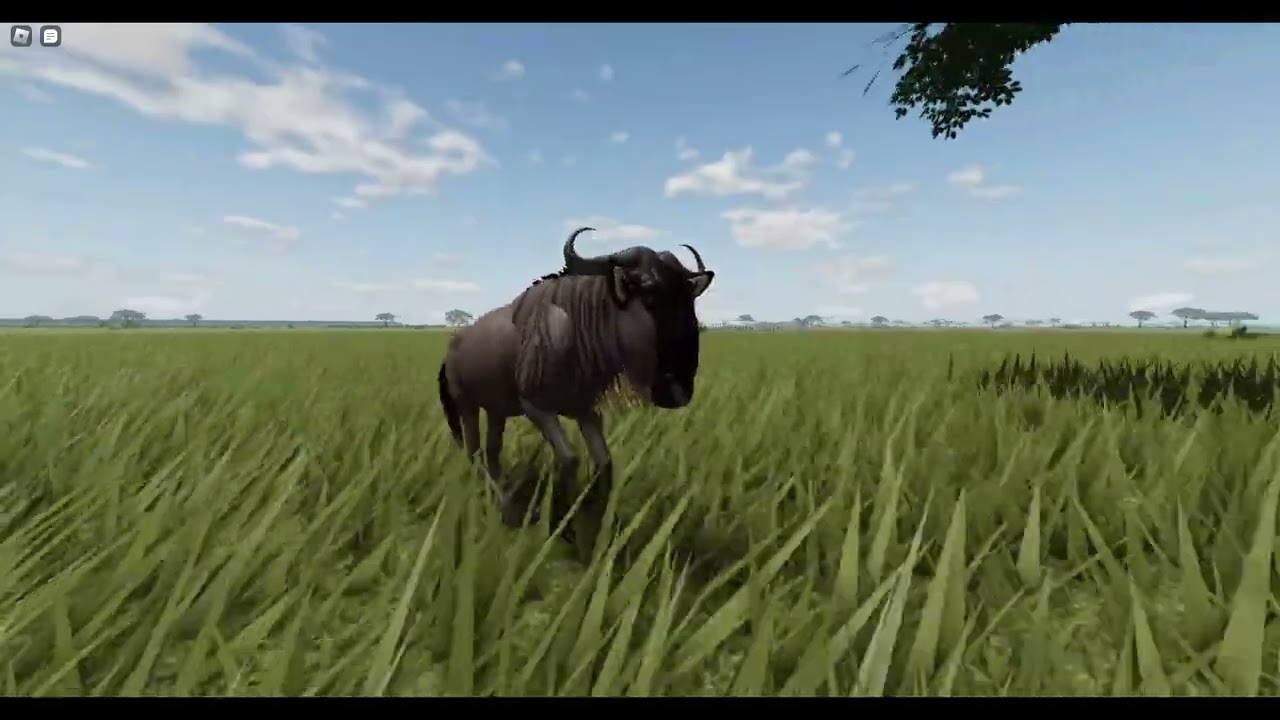 Wildebeest Animation Comparison! | Wild Savannah: Recode Update News