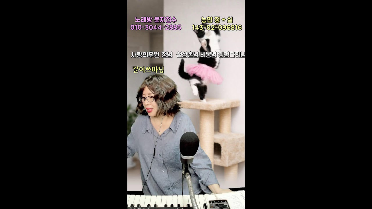 2026년 3월 19일 행복한 연실 전화노래방