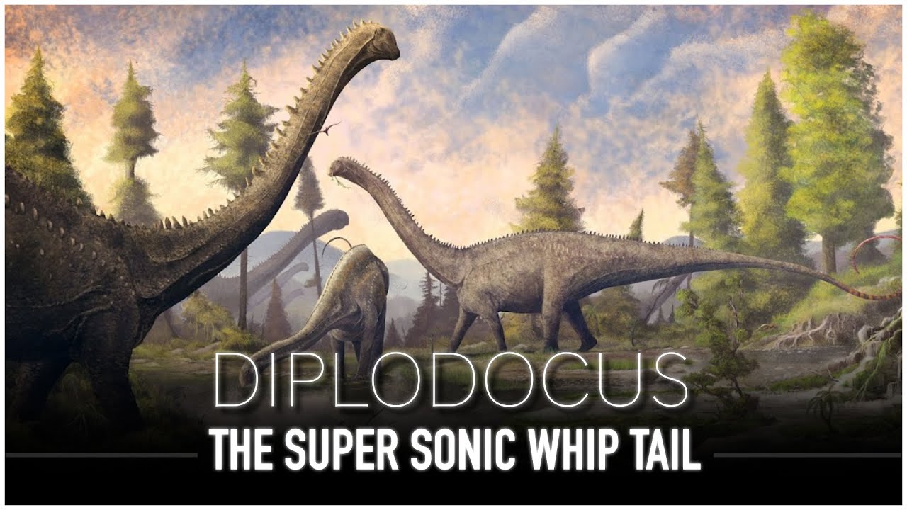 Diplodocus: The Dinosaur with a Super Sonic Whip for a Tail | Dinosaur Documentary