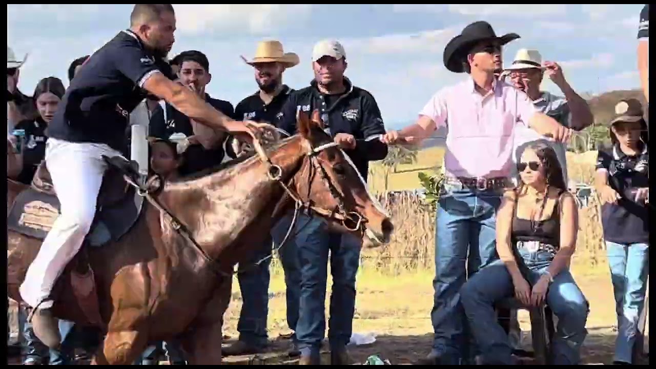 Corrida Hipica da Semifinal de 2025 | Clube Hípico Areia x Clube Hípico Claraval