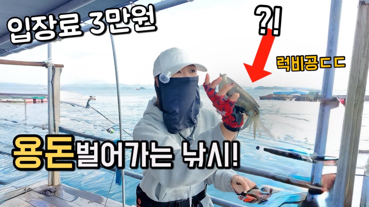 좌대에 드디어 신발짝 갑오징어가 터졌네요! 이 곳은 완전 다른방법입니다!!