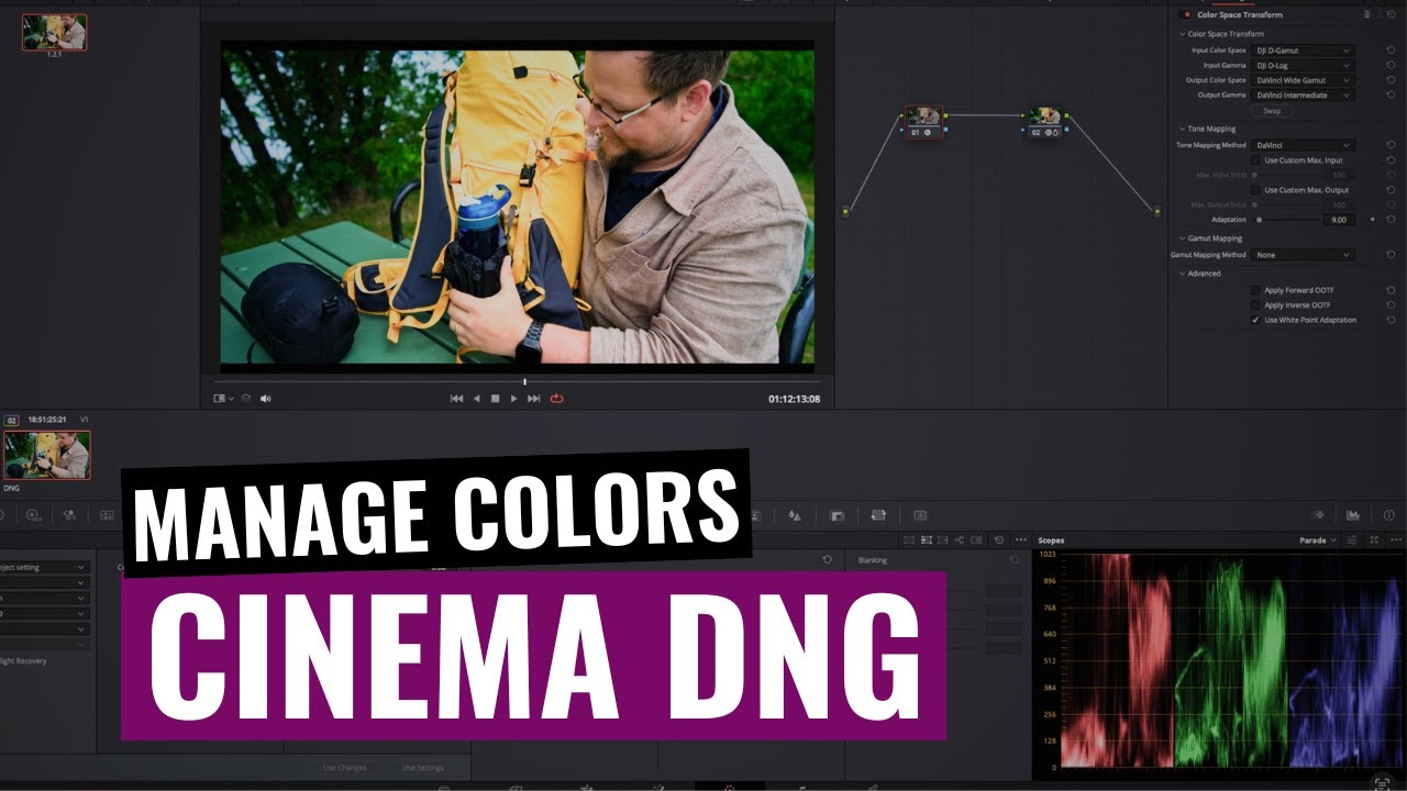 Лучший способ управления Cinema DNG | DaVinci Resolve