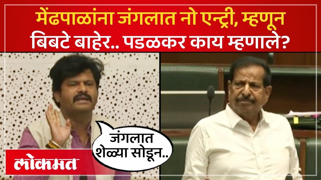 Gopichand Padalkar : बिबट्यांचं जंगलाबाहेर येण्याचं प्रमाण का वाढलं? गोपीचंद पडळकर काय म्हणाले? SK4